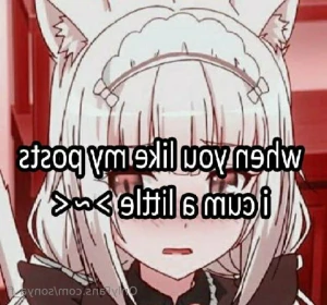 14468227
