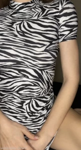 15576717