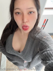 12047087