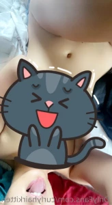 12631617
