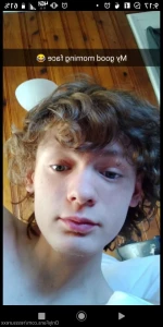 15515678