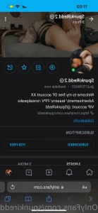 13737183