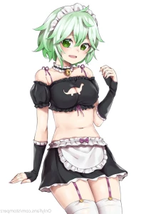 14403816