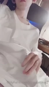 18075938