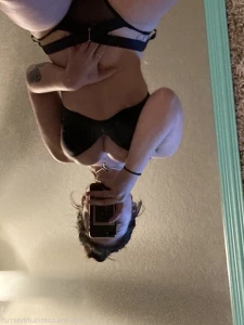 15588231