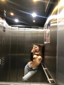 15452784