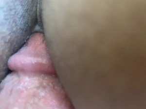 16061845