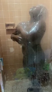 16204823