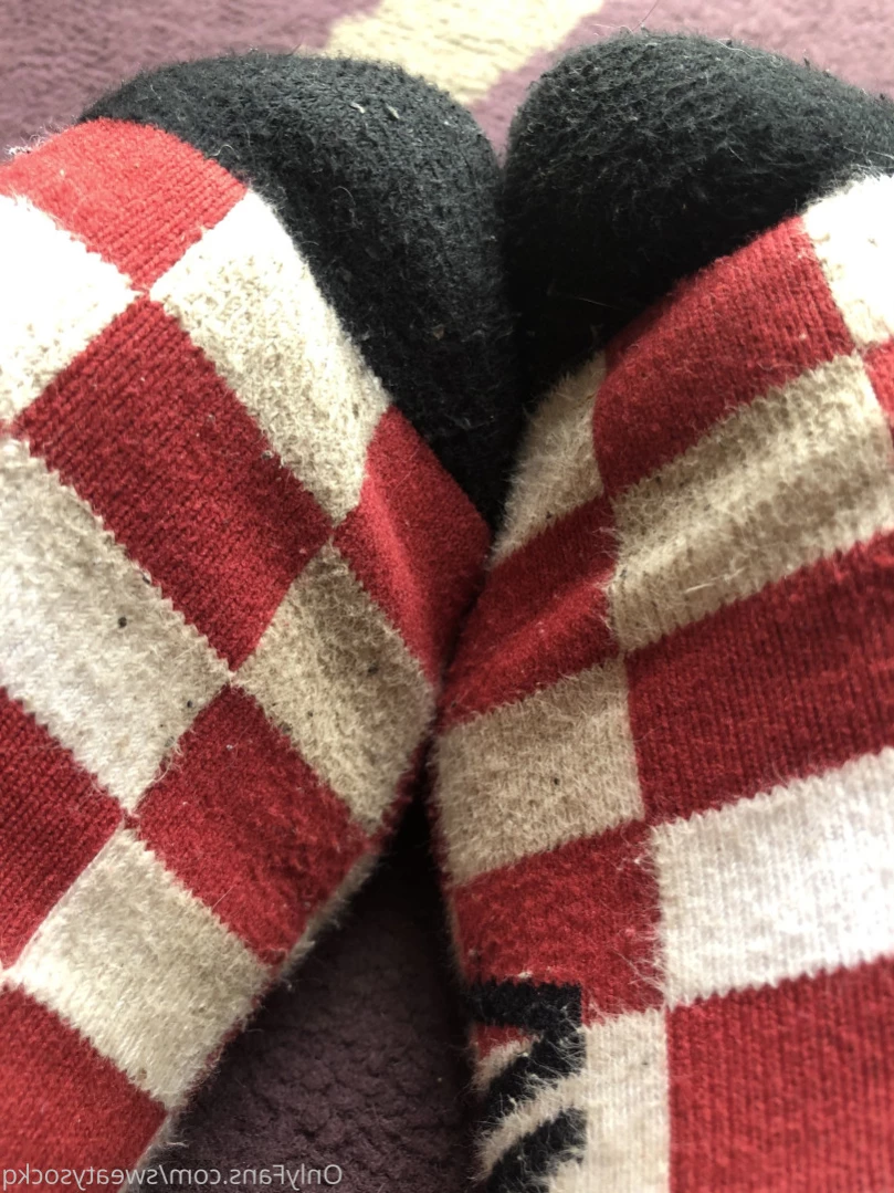 Sweaty Sock Queen [ sweatysockq ] Onlyfans leaked photo 15896734 on Hotleaks.tv