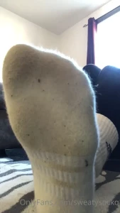 16236595