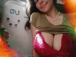 13067317