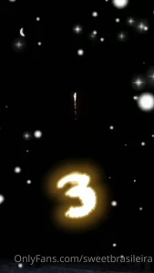 15202585