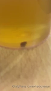 14902745
