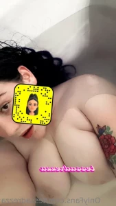 13729954