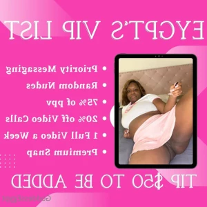 16115031