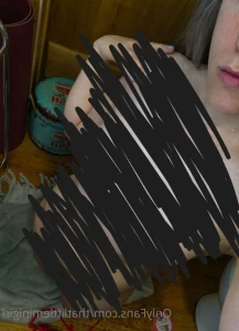 16067494