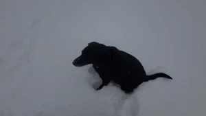 14022513