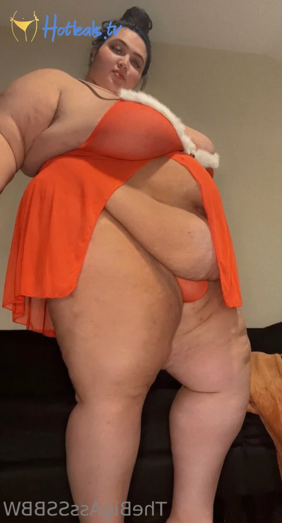 TheBigAssSSBBW [ thebigassssbbw1 ] Onlyfans leaked photo 13279875 on Hotleaks.tv