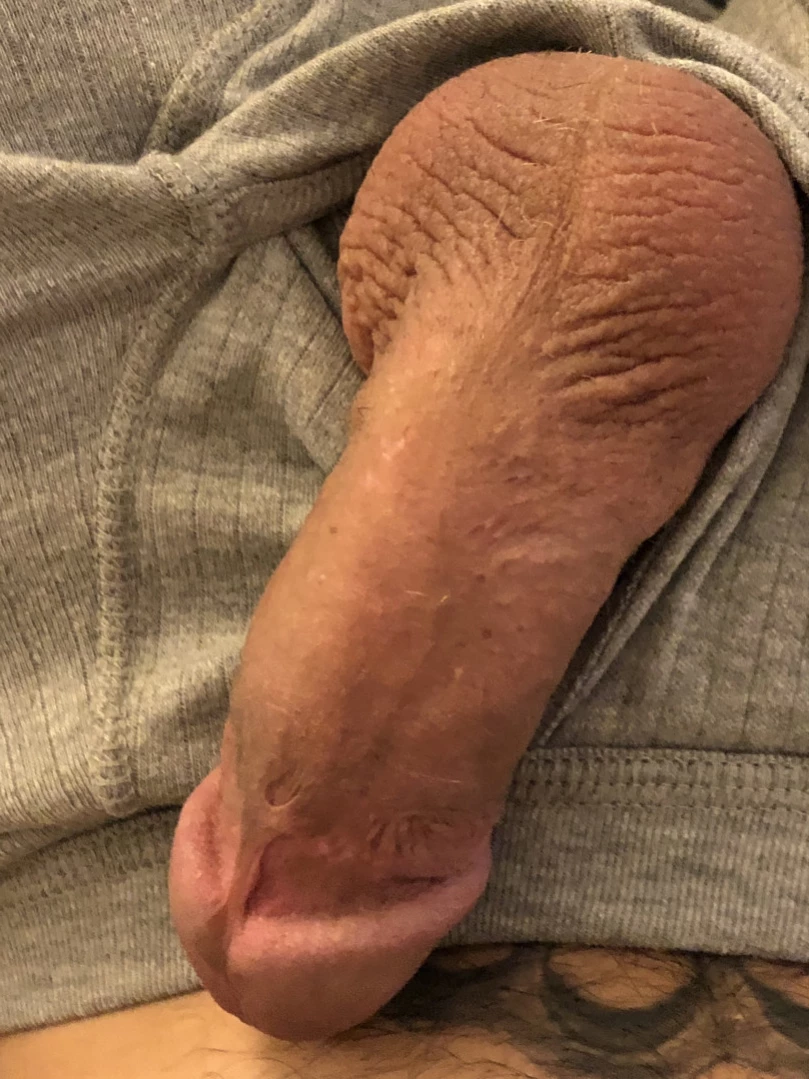 The british bear [ thebritishbear1 ] Onlyfans leaked photo 13887539 on Hotleaks.tv