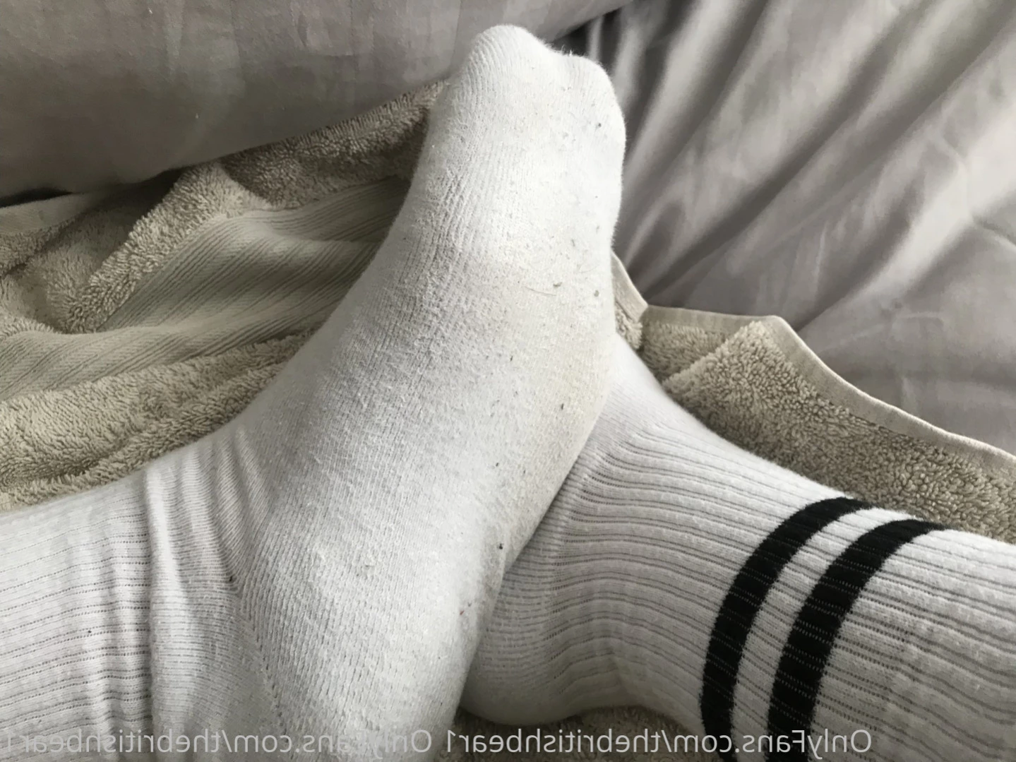 The british bear [ thebritishbear1 ] Onlyfans leaked photo 13889419 on Hotleaks.tv