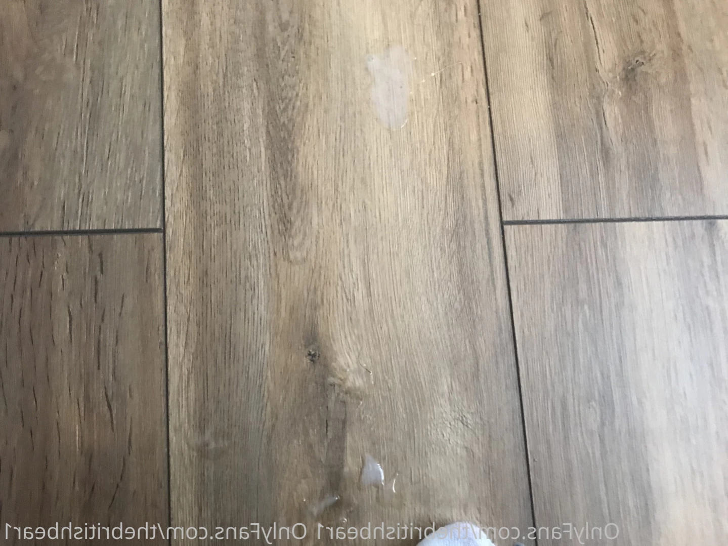 The british bear [ thebritishbear1 ] Onlyfans leaked photo 15458562 on Hotleaks.tv