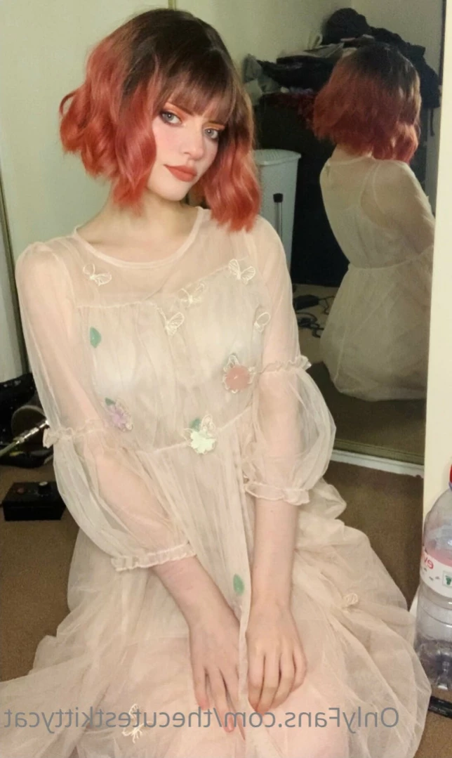 Misty silver~Top 1% [ thecutestkittycat ] Onlyfans leaked photo 11009381 on Hotleaks.tv