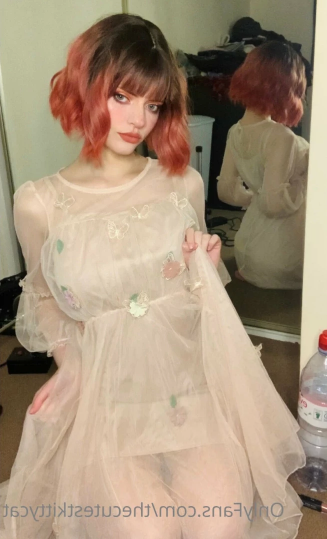 Misty silver~Top 1% [ thecutestkittycat ] Onlyfans leaked photo 11894956 on Hotleaks.tv