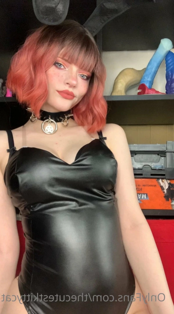 Misty silver~Top 1% [ thecutestkittycat ] Onlyfans leaked photo 12164942 on Hotleaks.tv