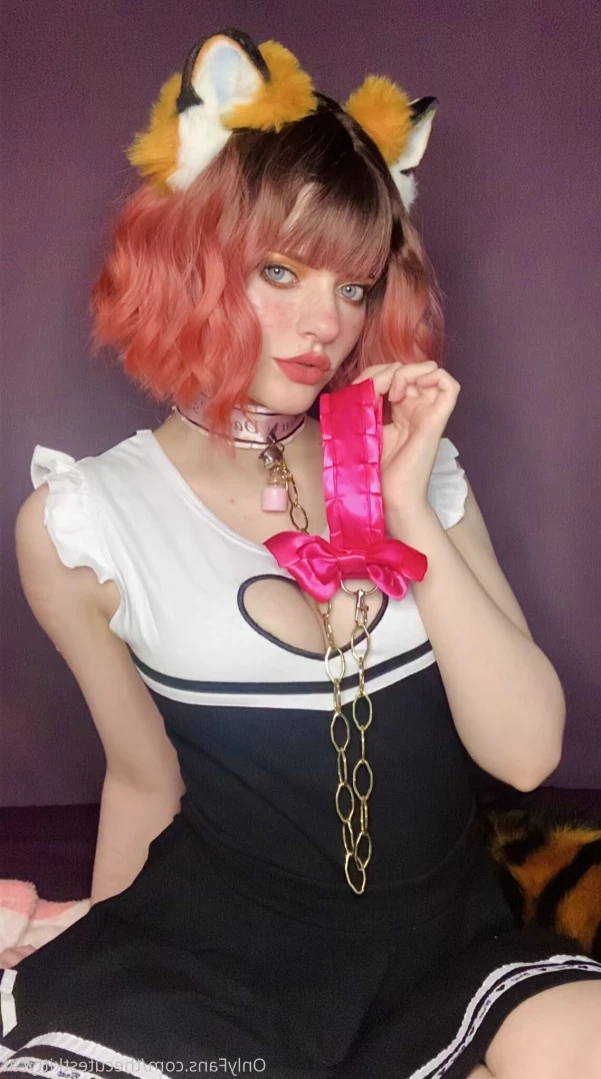 Misty silver~Top 1% [ thecutestkittycat ] Onlyfans leaked photo 12171434 on Hotleaks.tv