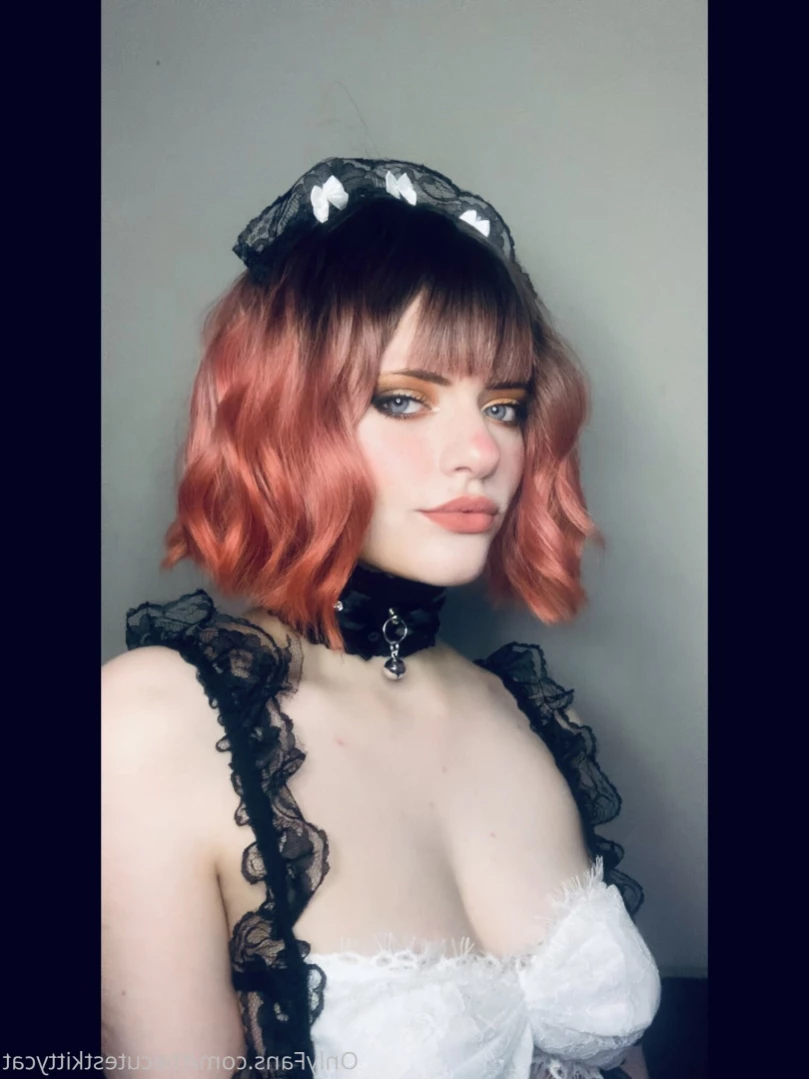 Misty silver~Top 1% [ thecutestkittycat ] Onlyfans leaked photo 12563982 on Hotleaks.tv