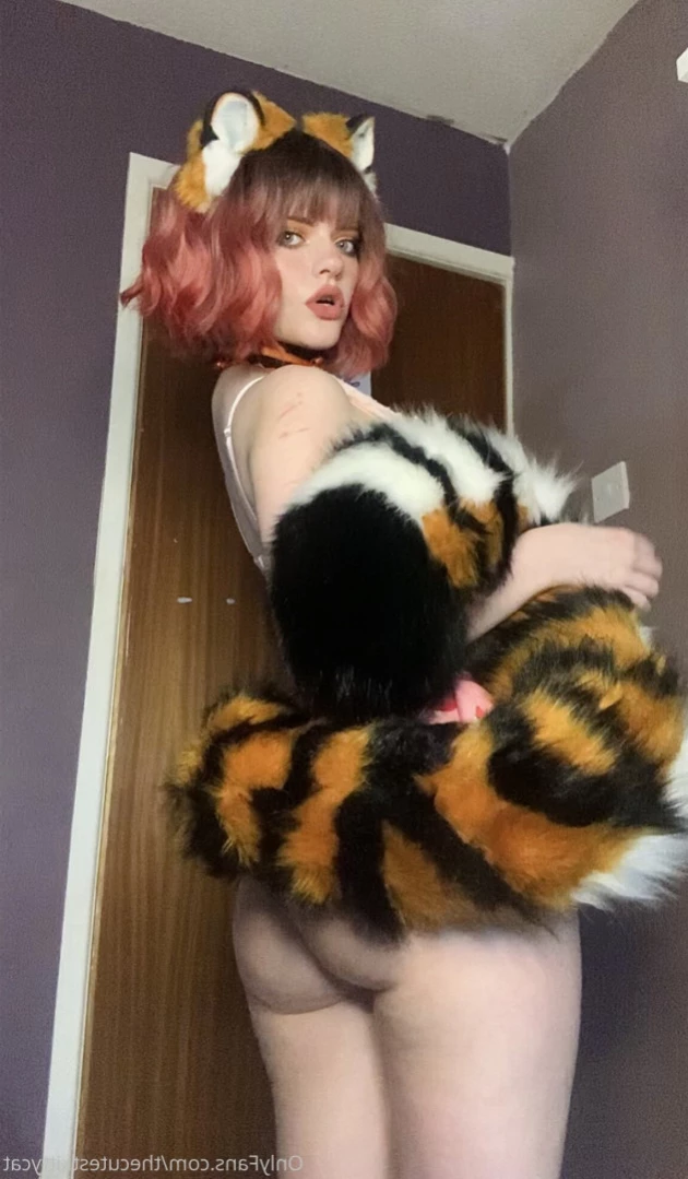 Misty silver~Top 1% [ thecutestkittycat ] Onlyfans leaked photo 13942319 on Hotleaks.tv
