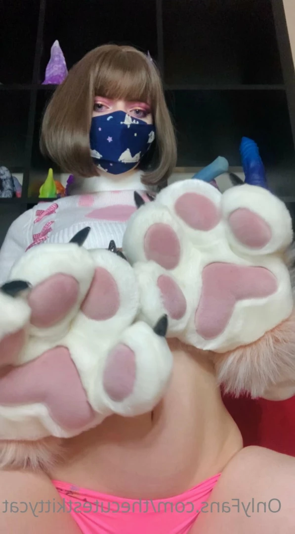 Misty silver~Top 1% [ thecutestkittycat ] Onlyfans leaked photo 13944636 on Hotleaks.tv