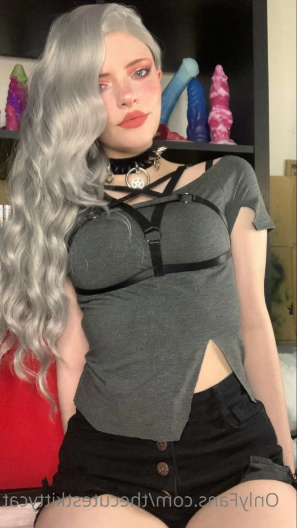 Misty silver~Top 1% [ thecutestkittycat ] Onlyfans leaked photo 13944731 on Hotleaks.tv