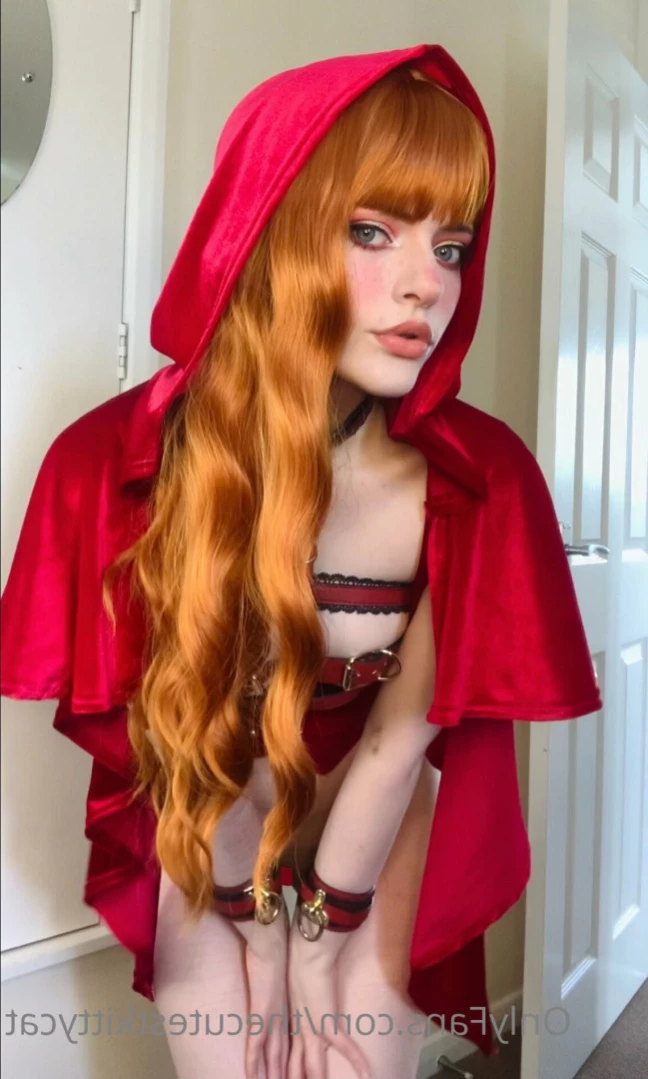 Misty silver~Top 1% [ thecutestkittycat ] Onlyfans leaked photo 13953063 on Hotleaks.tv