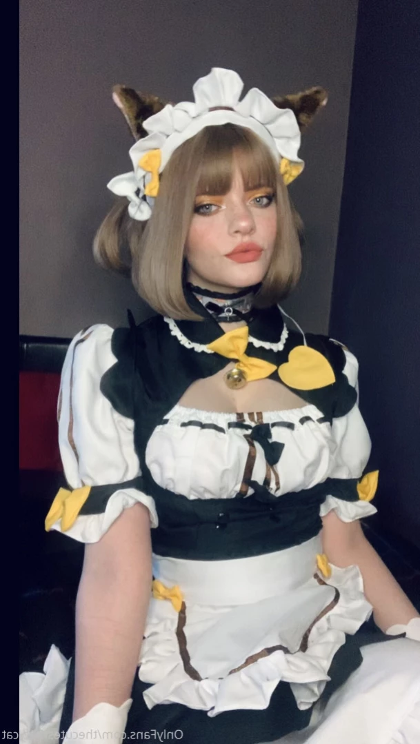 Misty silver~Top 1% [ thecutestkittycat ] Onlyfans leaked photo 13958844 on Hotleaks.tv