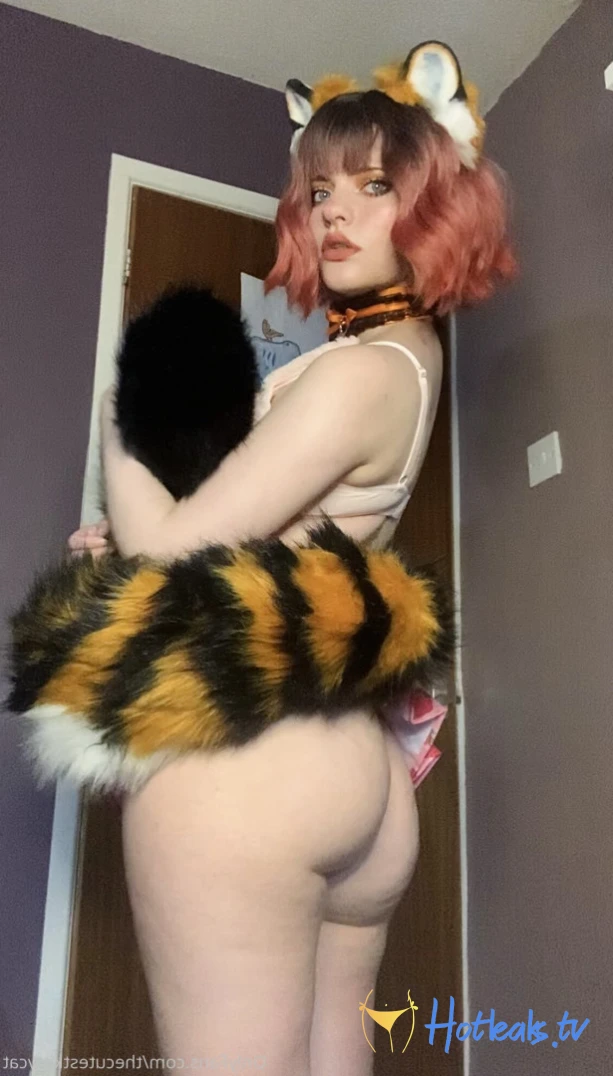 Misty silver~Top 1% [ thecutestkittycat ] Onlyfans leaked photo 13958969 on Hotleaks.tv