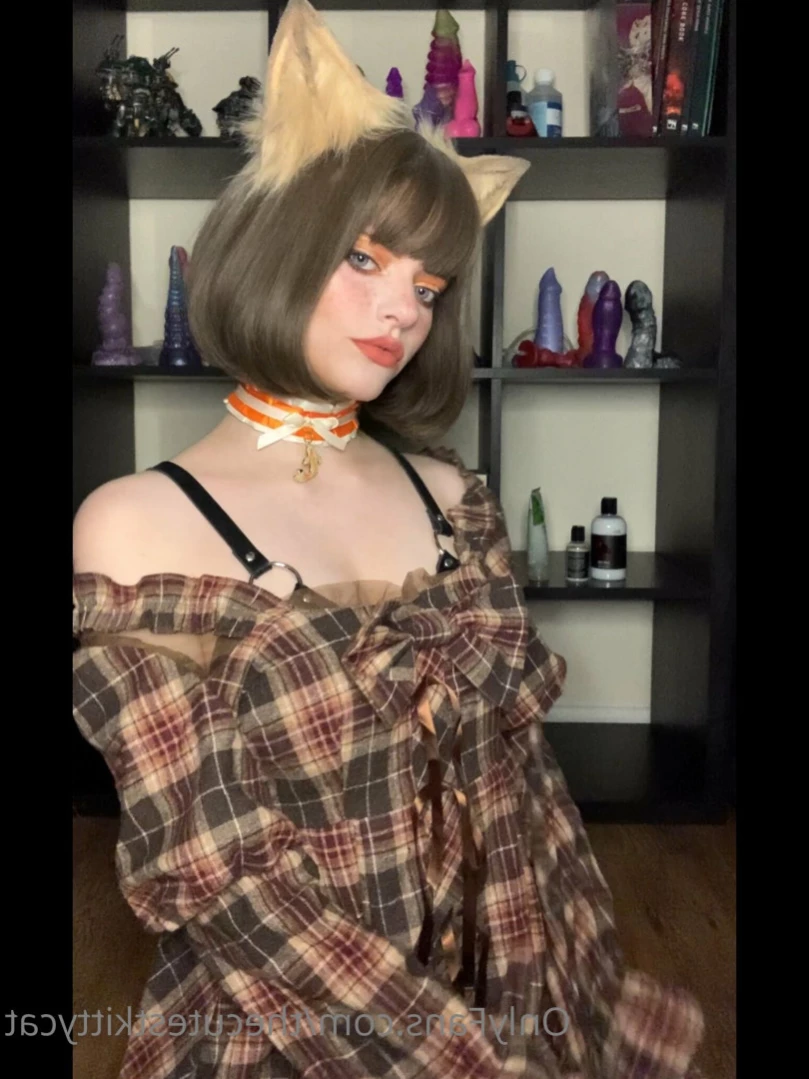 Misty silver~Top 1% [ thecutestkittycat ] Onlyfans leaked photo 14258496 on Hotleaks.tv