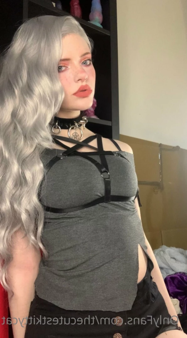 Misty silver~Top 1% [ thecutestkittycat ] Onlyfans leaked photo 15035853 on Hotleaks.tv