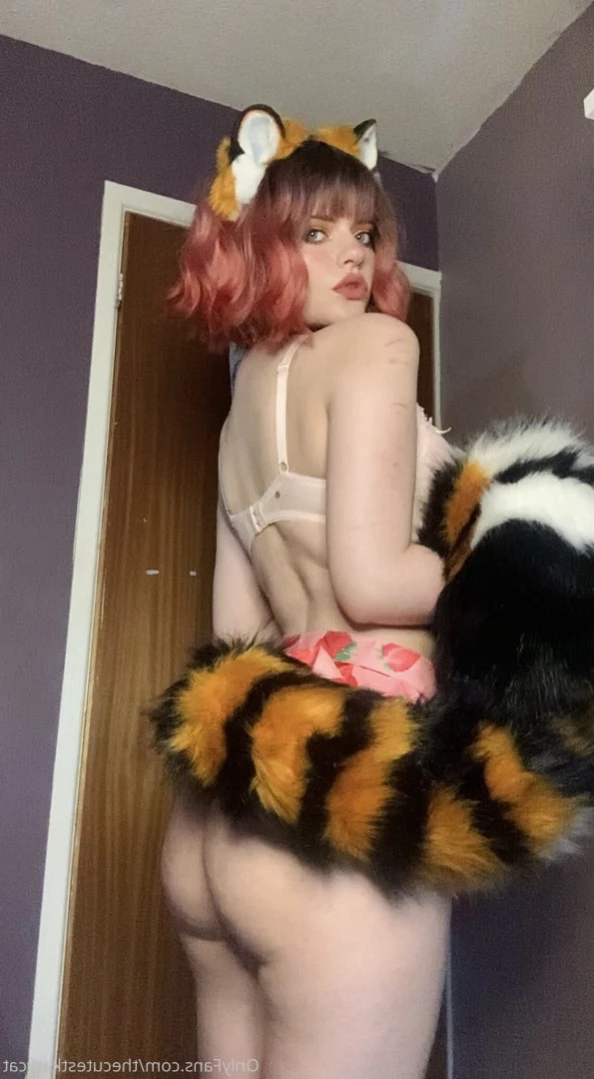 Misty silver~Top 1% [ thecutestkittycat ] Onlyfans leaked photo 15120513 on Hotleaks.tv