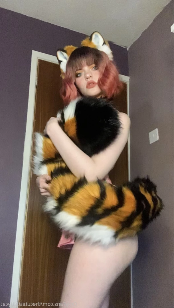 Misty silver~Top 1% [ thecutestkittycat ] Onlyfans leaked photo 15604693 on Hotleaks.tv