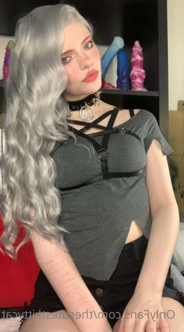 Misty silver~Top 1% [ thecutestkittycat ] Onlyfans leaked photo 15766689 on Hotleaks.tv