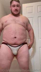 15335204