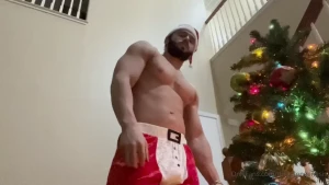 15686519