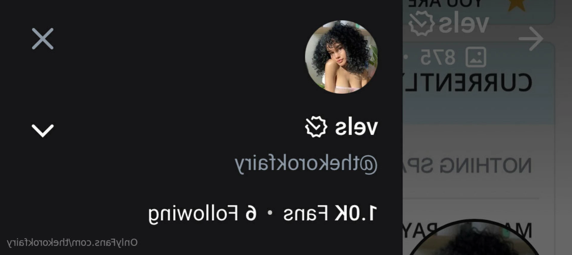 vels [ thekorokfairy ] Onlyfans leaked photo 13928471 on Hotleaks.tv