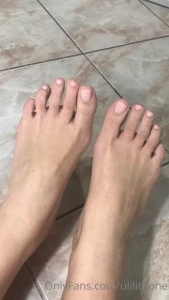 15288594