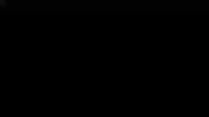 14588991
