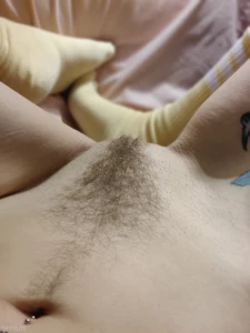 16264186