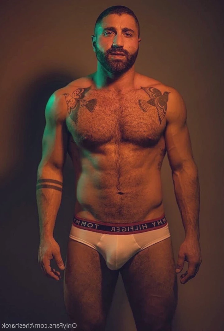The Sharok [ thesharok ] Onlyfans leaked photo 13794464 on Hotleaks.tv