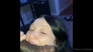 18073868
