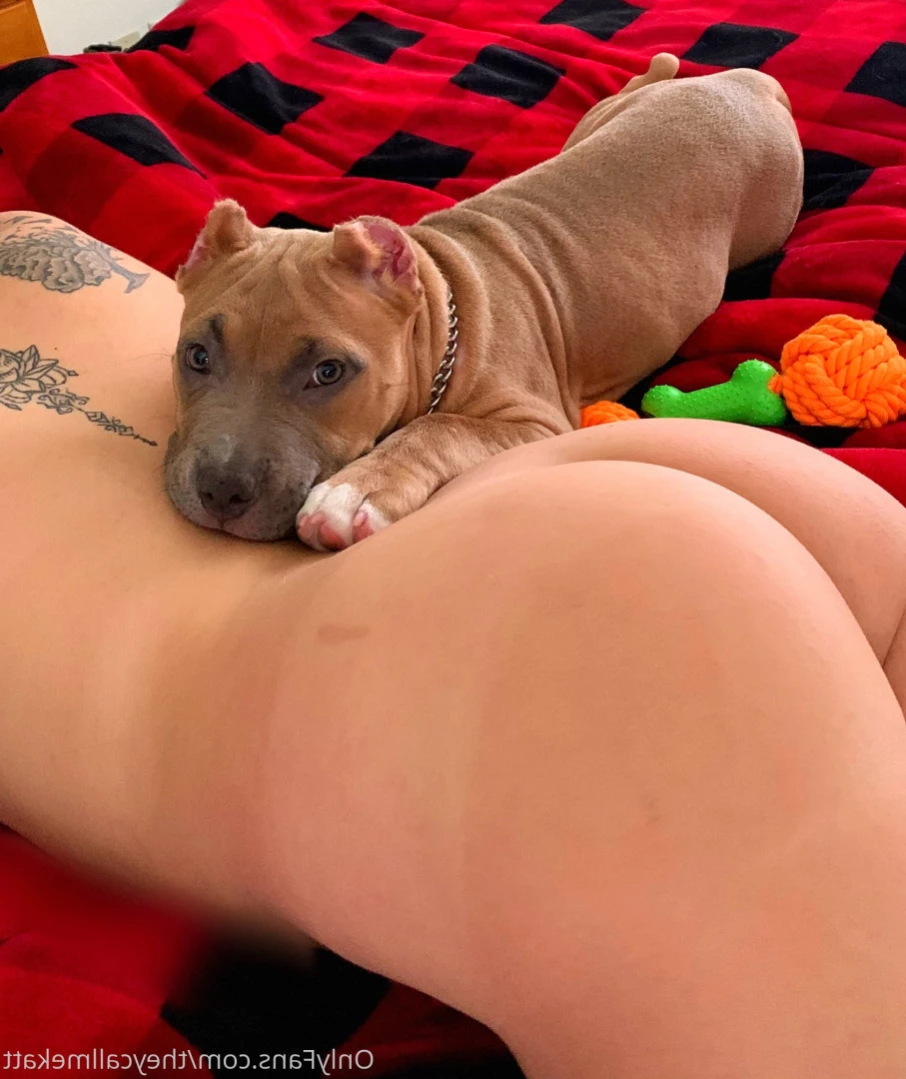 ❤️𝔼𝔾𝕚𝕣𝕝 𝕊𝕝𝕦𝕥❤️ [ theycallmekatt ] Onlyfans leaked photo 15031720 on Hotleaks.tv